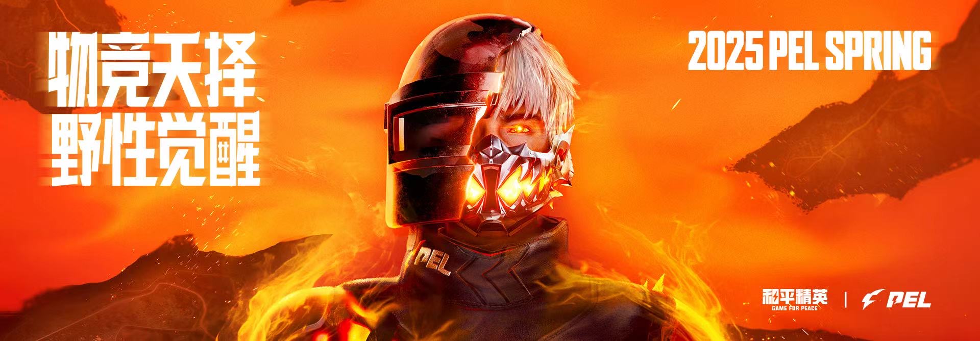 深入了解和平精英辅助现象:技术创新与社会影